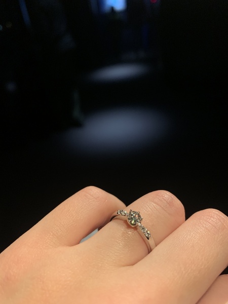 見るだけのつもりで予約せずに行き、無理矢理買わされたりするんだろ