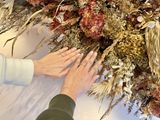 【ビジュピコ鳥取店】たくさん種類がありました！