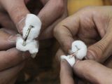 自分たちの「好き」を大切にした指輪作り体験