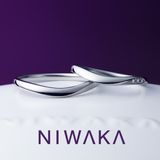 【俄(にわか)】雪芽吹 YUKIMEBUKI