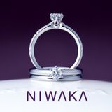 【俄(にわか)】ことほぎ KOTOHOGI