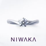 【俄(にわか)】初桜 UIZAKURA