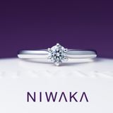 【俄(にわか)】ことほぎ KOTOHOGI