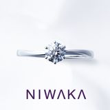 【俄(にわか)】花雪 HANAYUKI