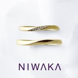 【俄(にわか)】朝葉 ASAHA