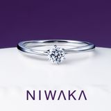 【俄(にわか)】花雪 HANAYUKI