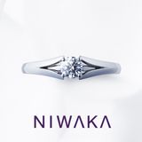 【俄(にわか)】瑞穂波 MIZUHONAMI