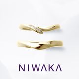 【俄(にわか)】初桜 UIZAKURA