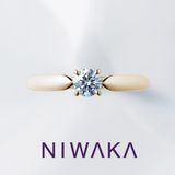 【俄(にわか)】花咲 HANAEMI