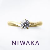 【俄(にわか)】初桜 UIZAKURA