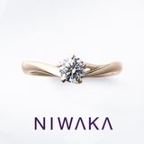 【俄(にわか)】初桜 UIZAKURA