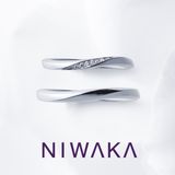 【俄(にわか)】朝葉 ASAHA