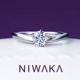 【俄(にわか)】初桜 UIZAKURA