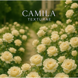 【DIYARTH(ディヤース)】Imber 「雨粒のリズムを、光に変えて。」