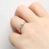 【LEGAN(レガン)】【ピンクダイヤモンド】ダイアンサス（dianthus）