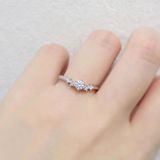 【LEGAN(レガン)】【ピンクダイヤモンド】ゼラニウム（Geranium）