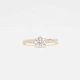 【LEGAN(レガン)】シリウス（Sirius）