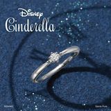 【hirai art gallery(ヒライアートギャラリー)】プロポーズに人気のモデル【ディズニーシンデレラ ビリーブ・イン・ミラクル】