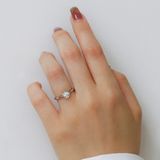 【JEWELRY STUDIO Advance(ジュエリースタジオアドバンス)】《25th year model》 Filrel フィレル