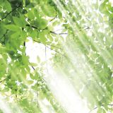 【アイアイイスズ ブライダル】【カフェリング】リュミエール