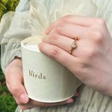 【VANillA(ヴァニラ)】【journey】 ジャーニー