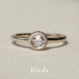 【VANillA(ヴァニラ)】【journey】 ジャーニー