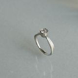 【TROA(トロア)】Tulip：チューリップ