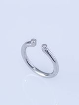 【ENEY(エネイ)】TWO PT900 DOUBLE MELEE RING