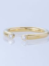 【ENEY(エネイ)】TWO K18YG DOUBLE MELEE RING