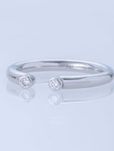 【ENEY(エネイ)】TWO PT900 DOUBLE MELEE RING