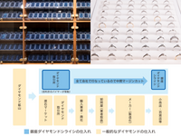 高品質のダイヤモンドをお求めやすいお値段で。