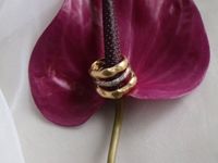 カラーゴールドなど、珍しい素材のバリエーション