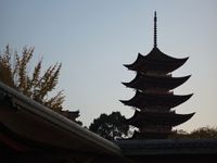 千年の歴史と文化を宿す、安芸の宮島に想いを馳せて