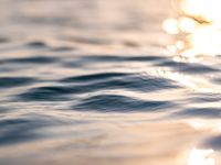 穏やかな波、森の響き、茜色の夕空…。瀬戸内の美しい自然や四季を表現しています