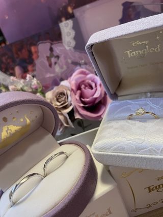 Sainte Pure(セントピュール)