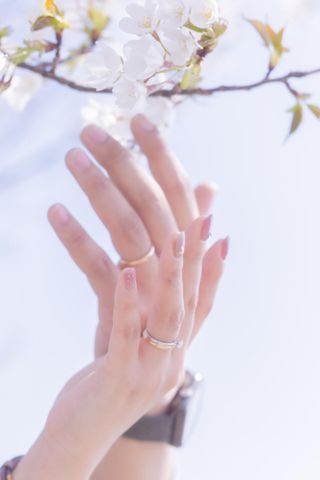 ティファニー(Tiffany & Co.)の結婚指輪・婚約指輪｜評判・値段