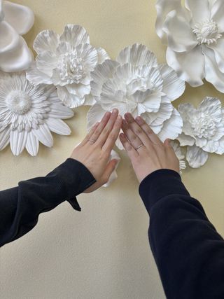 Pink Dolphin Diamond(ピンクドルフィンダイヤモンド)