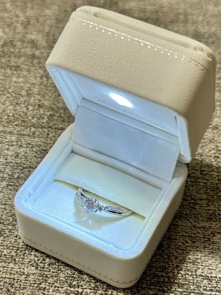 ete リング　婚約指輪　結婚指輪　プラチナ　ダイアモンド エテ eteの指輪ずっと欲しくて、結婚指輪か婚約指輪どちらかはeteと