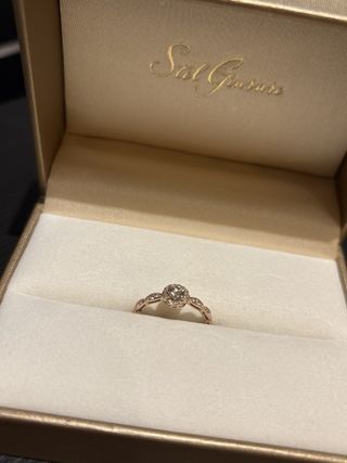 Stel Giurare(ステルジュラーレ)