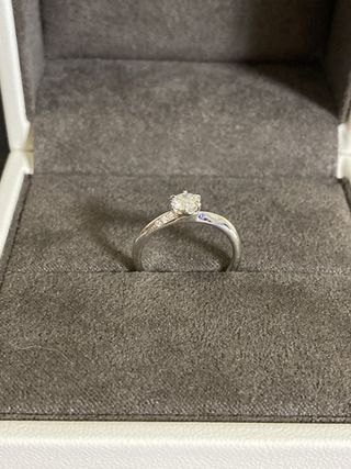 Galopine & Galopin(ガロピーネガロパン)