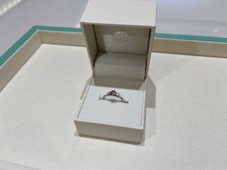 【DIAMOND DOT LAB(ダイアモンド ドット ラボ)の口コミ】 純プラチナのため、アレルギーに強いところ。
金属アレルギーを持っている…