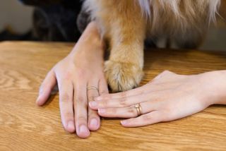 【Cayof(カヨフ)の口コミ】 婚約指輪で頂いたブランドがとても素敵だったので、結婚指輪も同じのが良…