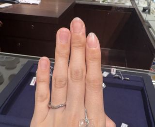 COLANY(コラニー)