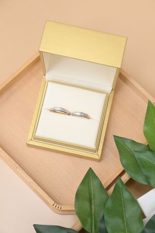 ピアジェ(PIAGET)