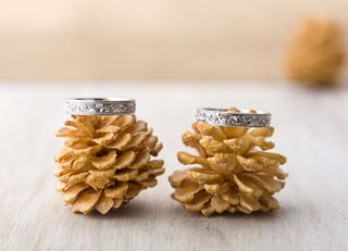 ROCCAではお客様の理想を叶えられるよう、じっくり対話を重ねて、ご提案させていただきます。

また、年齢を重ねて好みが変わっても、10年の記念にダイヤモンドを増やすなどのカスタマイズも承ります。
後からつや消しにすると言うカスタマイズは永久保証で無料のご提案させていただきます。