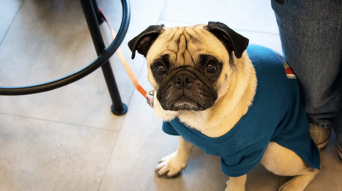 〈POINT〉
3F貸切プランもあるためお子さまやペットと一緒のご来店でも安心。
リラックスして指輪作りをお楽しみいただけます。


