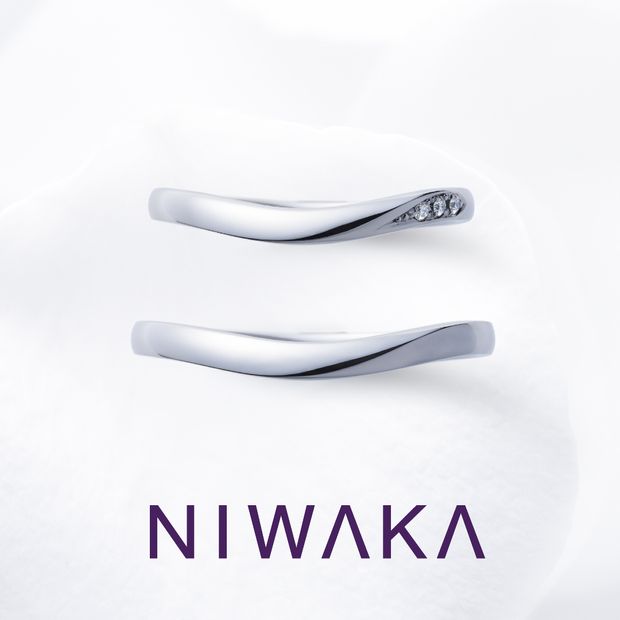 【俄(にわか)】雪芽吹 YUKIMEBUKI