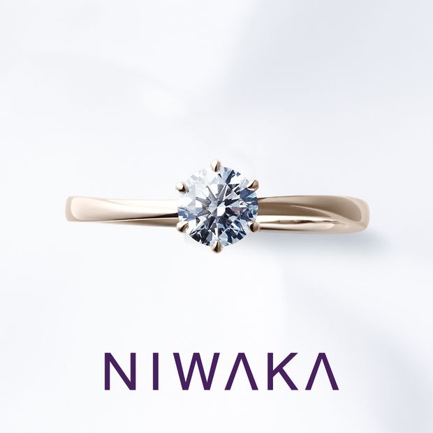 【俄(にわか)】花雪 HANAYUKI