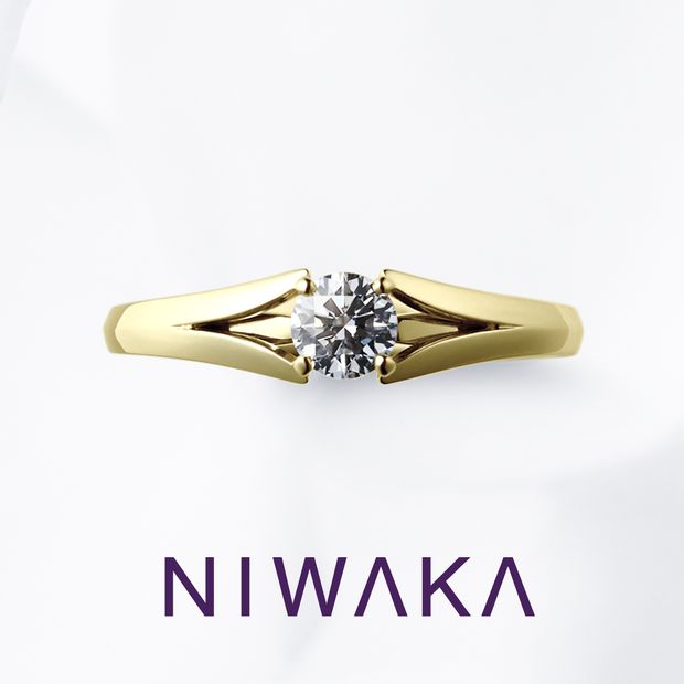 【俄(にわか)】瑞穂波 MIZUHONAMI