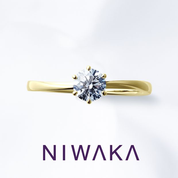 【俄(にわか)】花雪 HANAYUKI